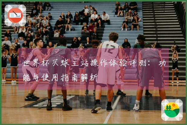 世界杯买球主站操作体验评测：功能与使用指南解析