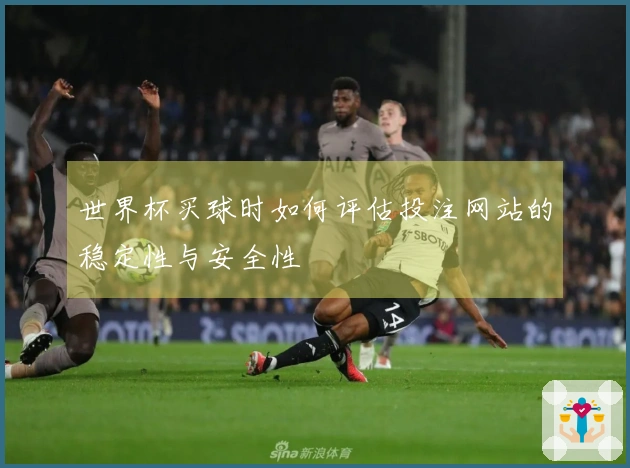 世界杯买球时如何评估投注网站的稳定性与安全性