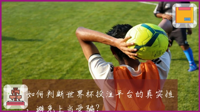 如何判断世界杯投注平台的真实性，避免上当受骗？