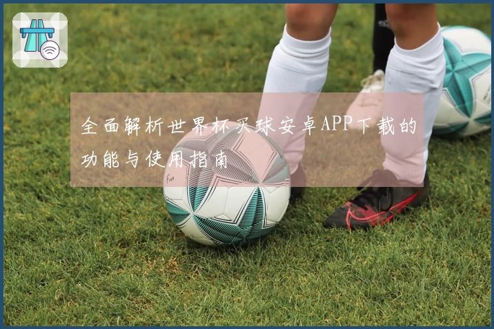 全面解析世界杯买球安卓APP下载的功能与使用指南