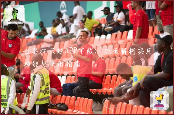 世界杯买球APP下载：全面解析实用功能与使用指南