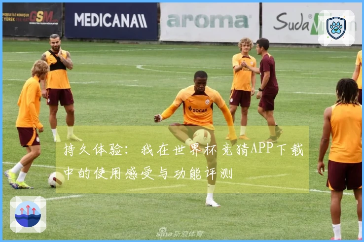 持久体验：我在世界杯竞猜APP下载中的使用感受与功能评测