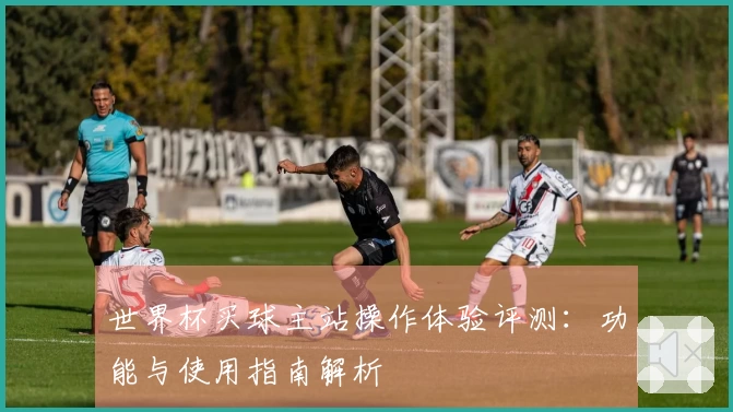 世界杯买球主站操作体验评测：功能与使用指南解析