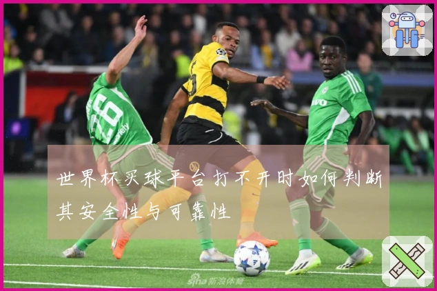 世界杯买球平台打不开时如何判断其安全性与可靠性