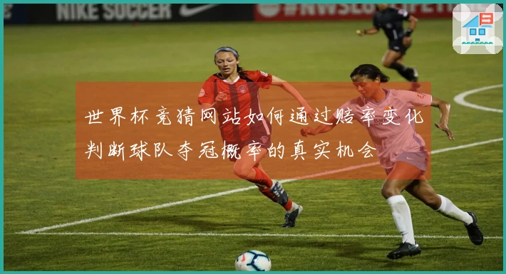 世界杯竞猜网站如何通过赔率变化判断球队夺冠概率的真实机会