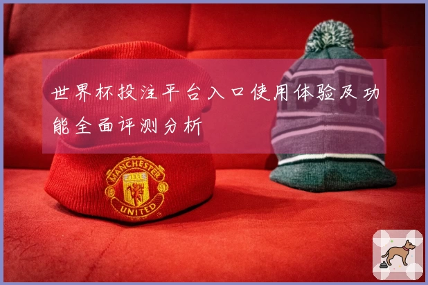 世界杯投注平台入口使用体验及功能全面评测分析