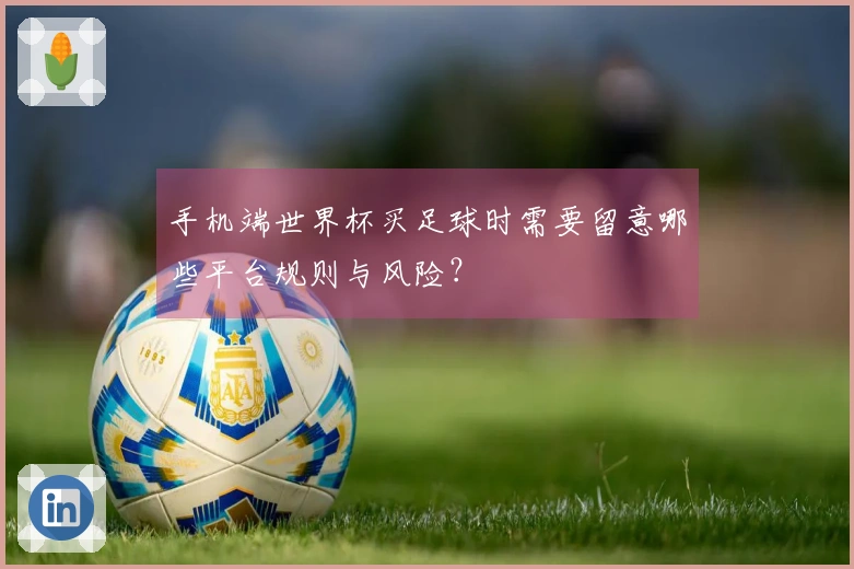 手机端世界杯买足球时需要留意哪些平台规则与风险？