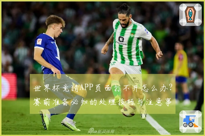 世界杯竞猜APP页面打不开怎么办?赛前准备必知的处理技巧与注意事项
