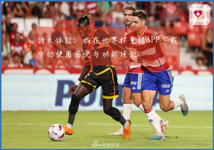持久体验：我在世界杯竞猜APP下载中的使用感受与功能评测