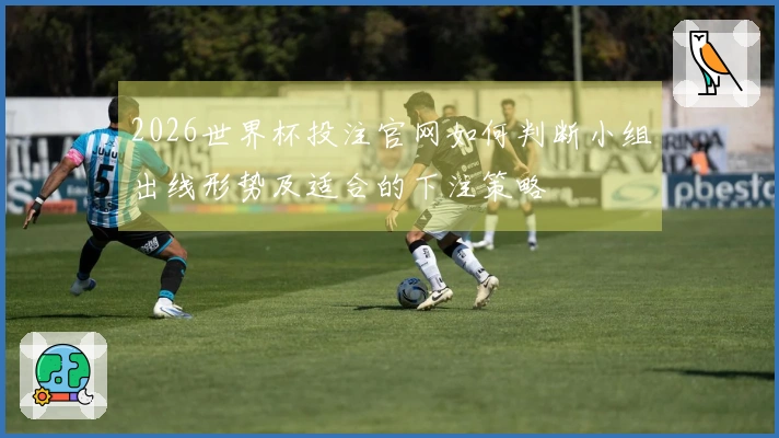 2026世界杯投注官网如何判断小组出线形势及适合的下注策略