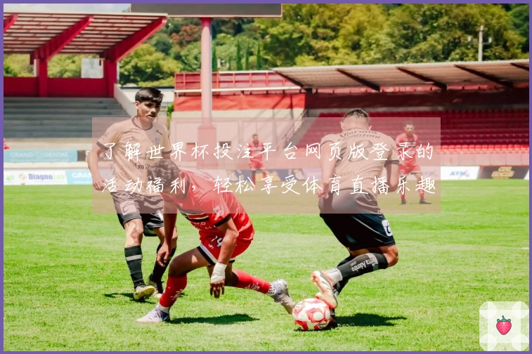 了解世界杯投注平台网页版登录的活动福利，轻松享受体育直播乐趣