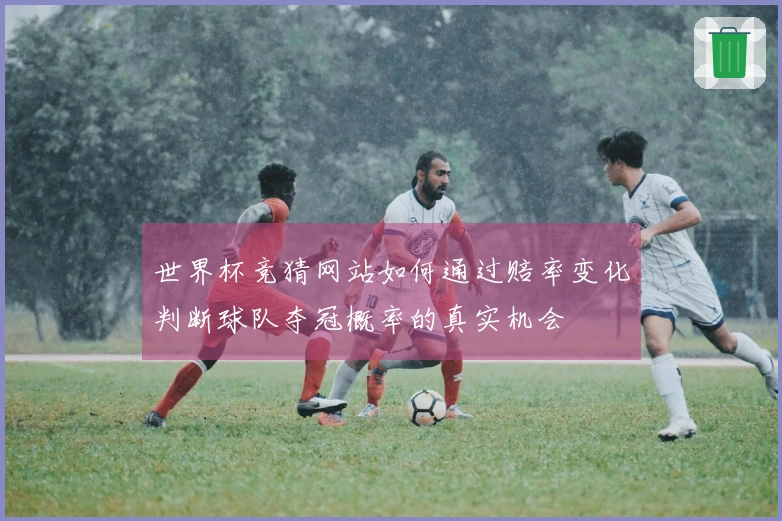 世界杯竞猜网站如何通过赔率变化判断球队夺冠概率的真实机会