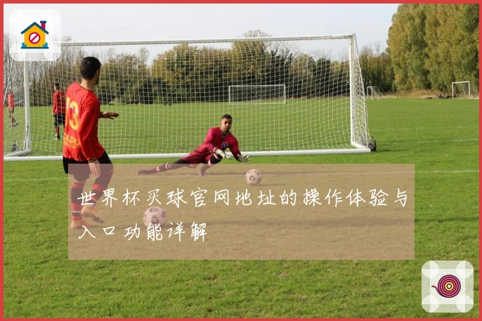 世界杯买球官网地址的操作体验与入口功能详解