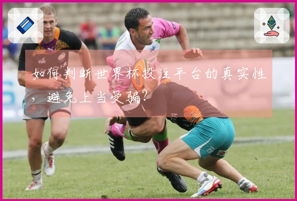 如何判断世界杯投注平台的真实性，避免上当受骗？