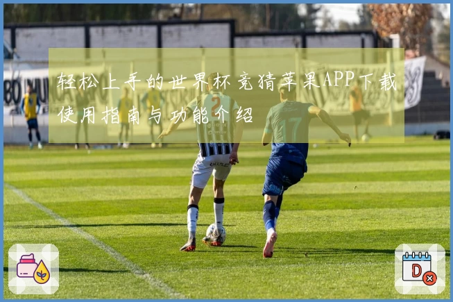 轻松上手的世界杯竞猜苹果APP下载使用指南与功能介绍