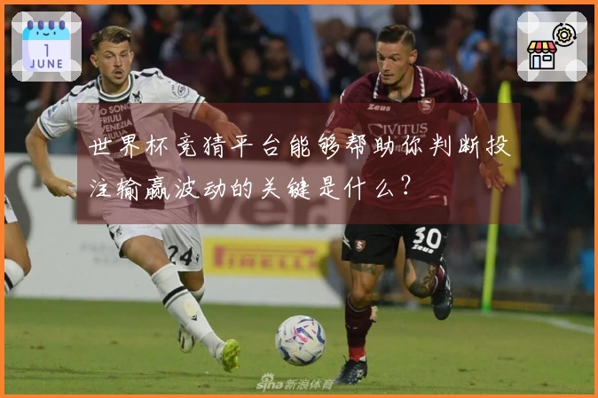 世界杯竞猜平台能够帮助你判断投注输赢波动的关键是什么？