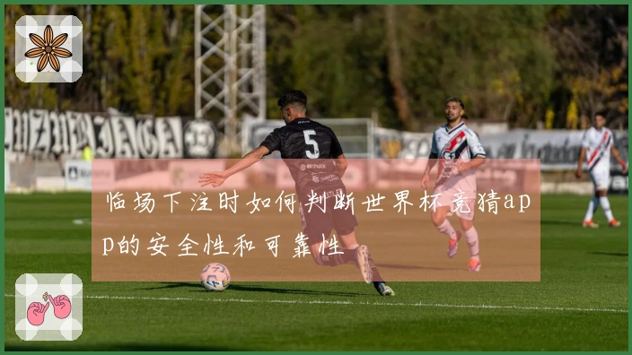 临场下注时如何判断世界杯竞猜app的安全性和可靠性