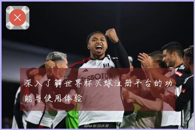 深入了解世界杯买球注册平台的功能与使用体验
